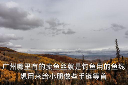 廣州哪里有的賣魚絲就是釣魚用的魚線想用來(lái)給小朋做些手鏈等首