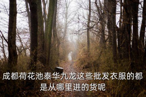 成都九龍有廣州貨嗎，請問成都的九龍進貨情況