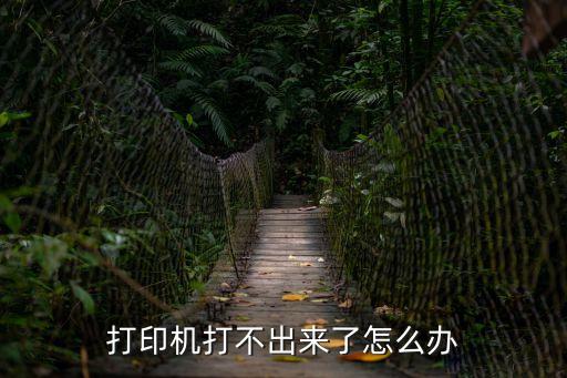 打印機打不出來了怎么辦
