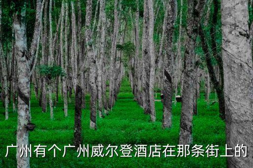 廣州威爾，廣州有個廣州威爾登酒店在那條街上的