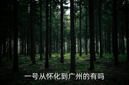 一號從懷化到廣州的有嗎