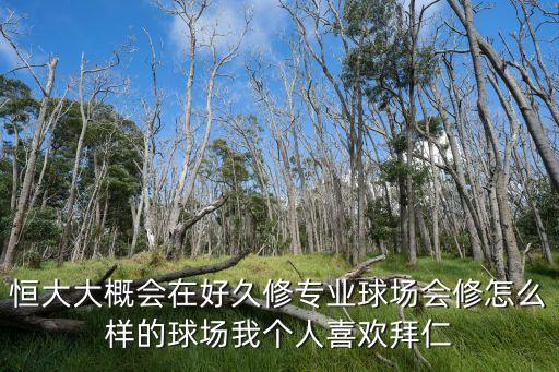 恒大大概會在好久修專業(yè)球場會修怎么樣的球場我個人喜歡拜仁
