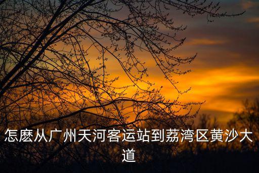 怎麼從廣州天河客運站到荔灣區黃沙大道