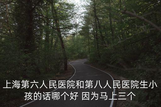 上海第六人民醫院和第八人民醫院生小孩的話哪個好 因為馬上三個