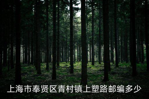 上海市奉賢青村鎮鎮長，上海市奉賢區青村鎮上塑路郵編多少