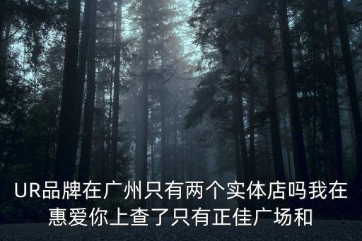 UR品牌在廣州只有兩個實體店嗎我在惠愛你上查了只有正佳廣場和