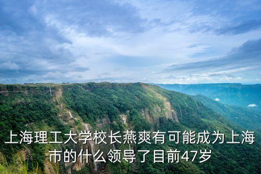 上海理工大學校長燕爽有可能成為上海市的什么領導了目前47歲