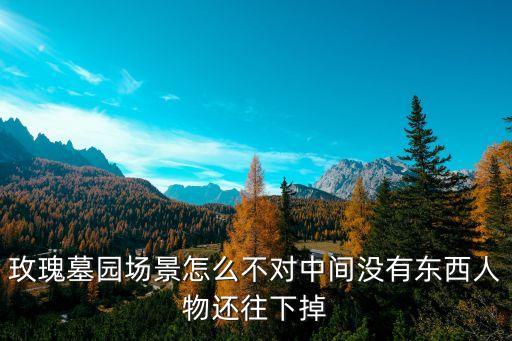 上海市玫瑰墓園，玫瑰墓園場景怎么不對中間沒有東西人物還往下掉