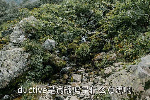 ductive是詞根嗎是什么意思啊