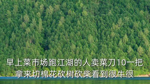 早上菜市場(chǎng)跑江湖的人賣(mài)菜刀10一把拿來(lái)切棉花砍樹(shù)砍柴看到很牛很