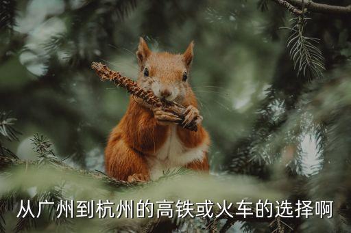 廣州到杭州市高鐵火車，廣州到杭州有高鐵嗎