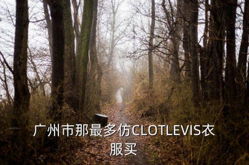 廣州高仿阿迪耐克短袖，廣州市那最多仿CLOTLEVIS衣服買