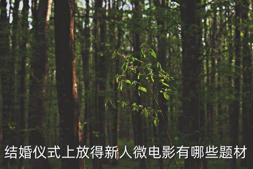 結(jié)婚儀式上放得新人微電影有哪些題材