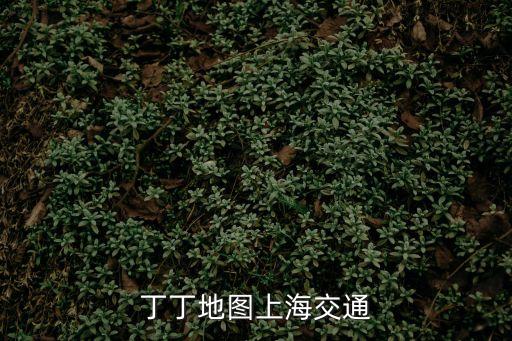上海市共和新路619弄地圖，丁丁地圖上海交通