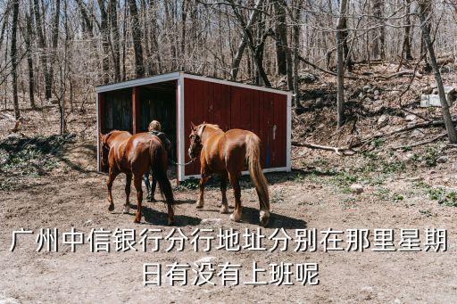 廣州中信銀行分行地址分別在那里星期日有沒有上班呢