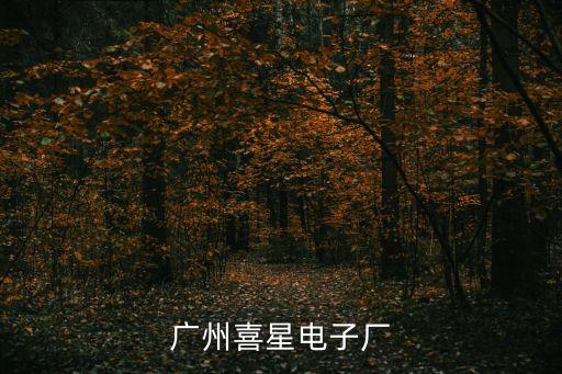 廣州喜星電子廠