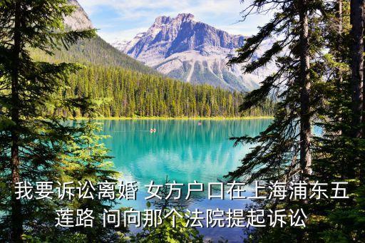 我要訴訟離婚 女方戶口在上海浦東五蓮路 問向那個法院提起訴訟