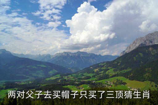 兩對父子，腦筋急轉彎兩對父子去買帽子為什么只買了三頂是祖孫三人