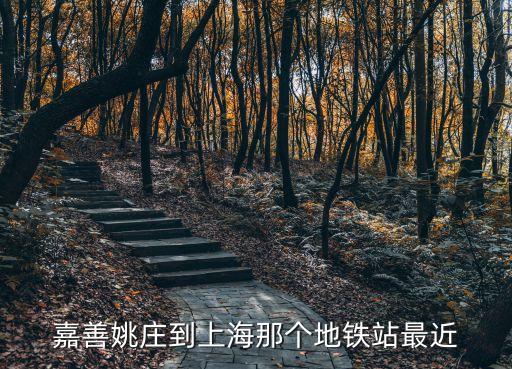 嘉善姚莊到上海市中心多遠，浙江姚莊離上海浦東有多遠
