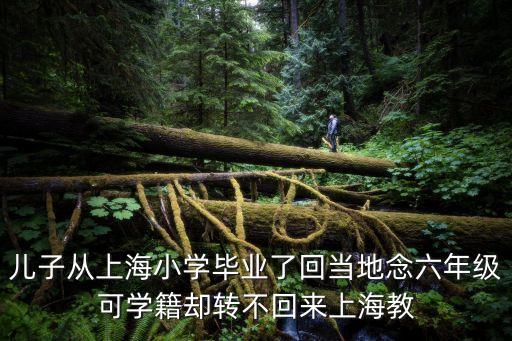 上海市教育局班主任，精銳的老師怎么樣上海的教育機(jī)構(gòu)老師那個(gè)比較好