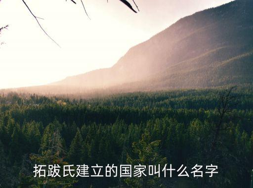 拓跋氏，北魏拓跋燾是什么民族