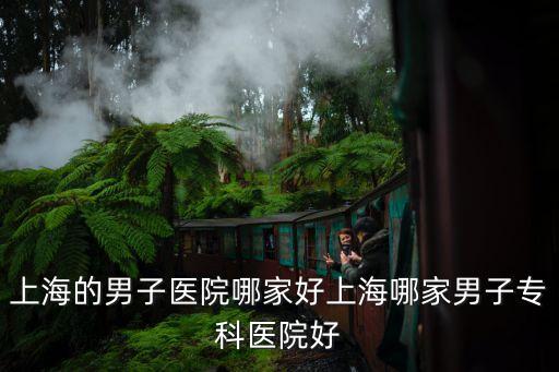 上海市男科研 閘虹穩當，不知道上海男科醫院那家好我想去看看