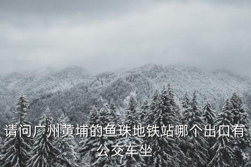京東廣州魚珠站在哪里，請問一下廣州魚珠區離哪個火車站最近