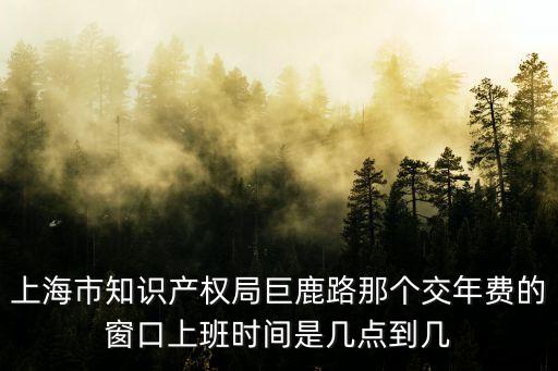 上海市知識產權局巨鹿路那個交年費的窗口上班時間是幾點到幾