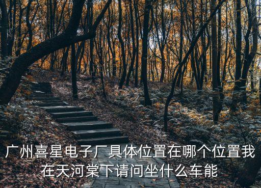廣州喜星電子廠具體位置在哪個位置我在天河棠下請問坐什么車能