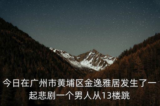 今日在廣州市黃埔區(qū)金逸雅居發(fā)生了一起悲劇一個(gè)男人從13樓跳