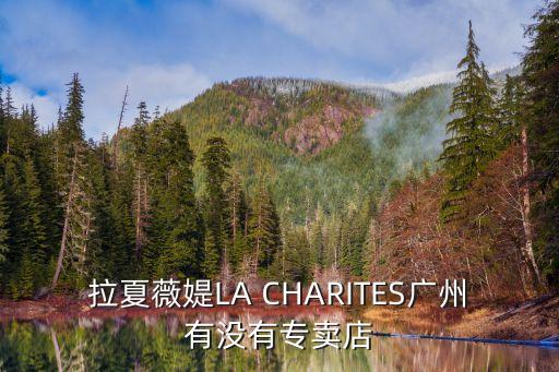 la chapelle廣州實(shí)體店，路易威登在廣州哪里有專(zhuān)賣(mài)店啊