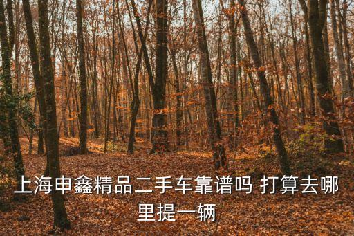 上海申鑫精品二手車靠譜嗎 打算去哪里提一輛