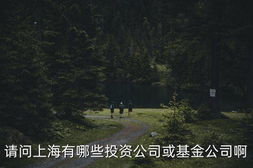 請問上海有哪些投資公司或基金公司啊