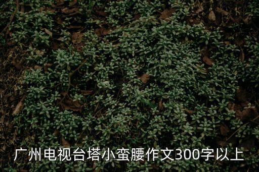 廣州電視臺塔小蠻腰作文300字以上
