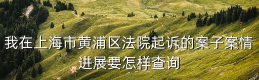 上海市涉訴行政案件，上海市靜安區人民法院一般主要處理哪些方面的案件