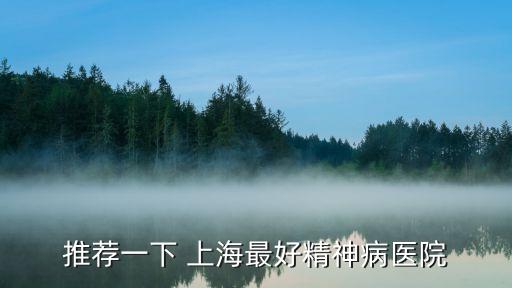 推薦一下 上海最好精神病醫院