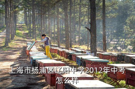 上海市楊浦區遼陽中學2012年中考怎么樣