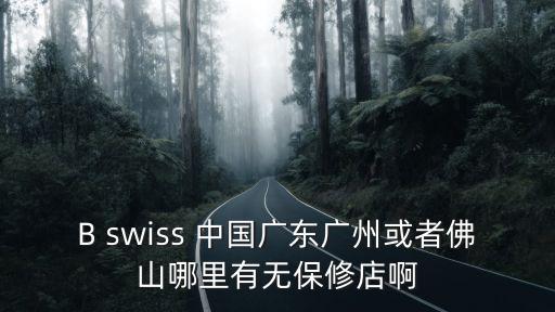 B swiss 中國(guó)廣東廣州或者佛山哪里有無保修店啊