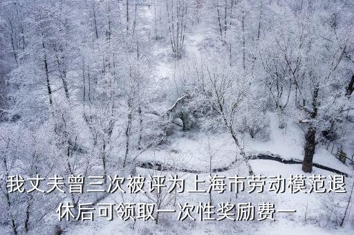 上海市85年勞模，上海籍勞模有那些