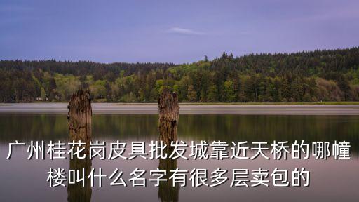 廣州桂花崗皮具批發城靠近天橋的哪幢樓叫什么名字有很多層賣包的