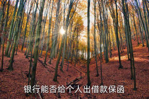 銀行能否給個人出借款保函