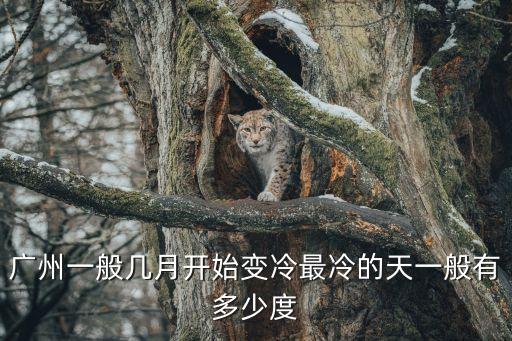 17年廣州什么時候變冷，廣州一般幾月開始變冷最冷的天一般有多少度