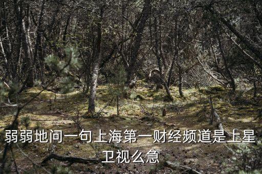 弱弱地問一句上海第一財經頻道是上星衛視么急