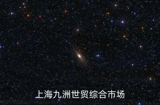 上海九洲世貿(mào)綜合市場(chǎng)