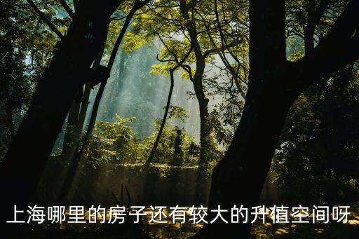 上海哪里的房子還有較大的升值空間呀