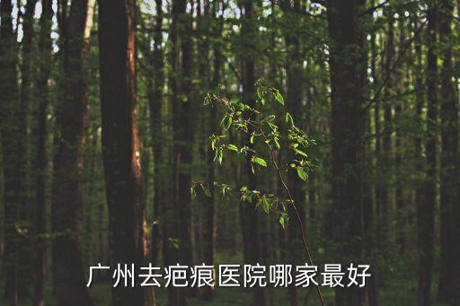廣州去疤痕醫院哪家最好