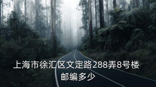 上海市徐匯區文定路288弄8號樓 郵編多少