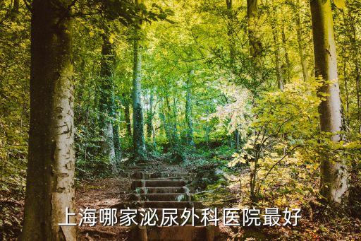 上海市泌尿外科醫(yī)院哪個好，上海最好的泌尿科醫(yī)院是哪家急急急