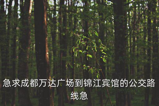 急求成都萬(wàn)達(dá)廣場(chǎng)到錦江賓館的公交路線急