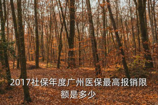 2017社保年度廣州醫保最高報銷限額是多少